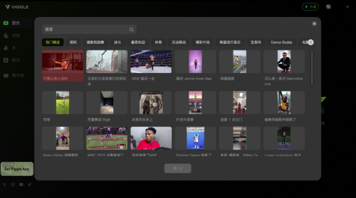 640-191 viggle-AI视频人物替换-AI动作模仿