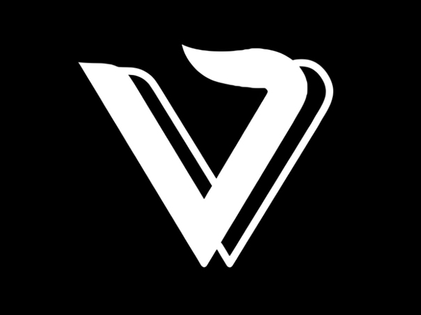 viggle-AI视频人物替换-AI动作模仿