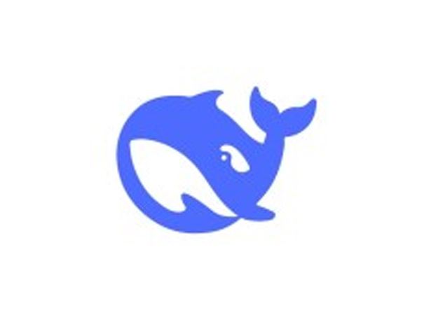 deepseek-高效的AI支持