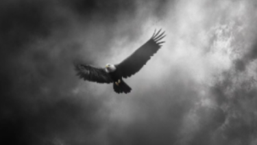 47840d768eab2ea7a002682c2732dbdc 47840d768eab2ea7a002682c2732dbdc